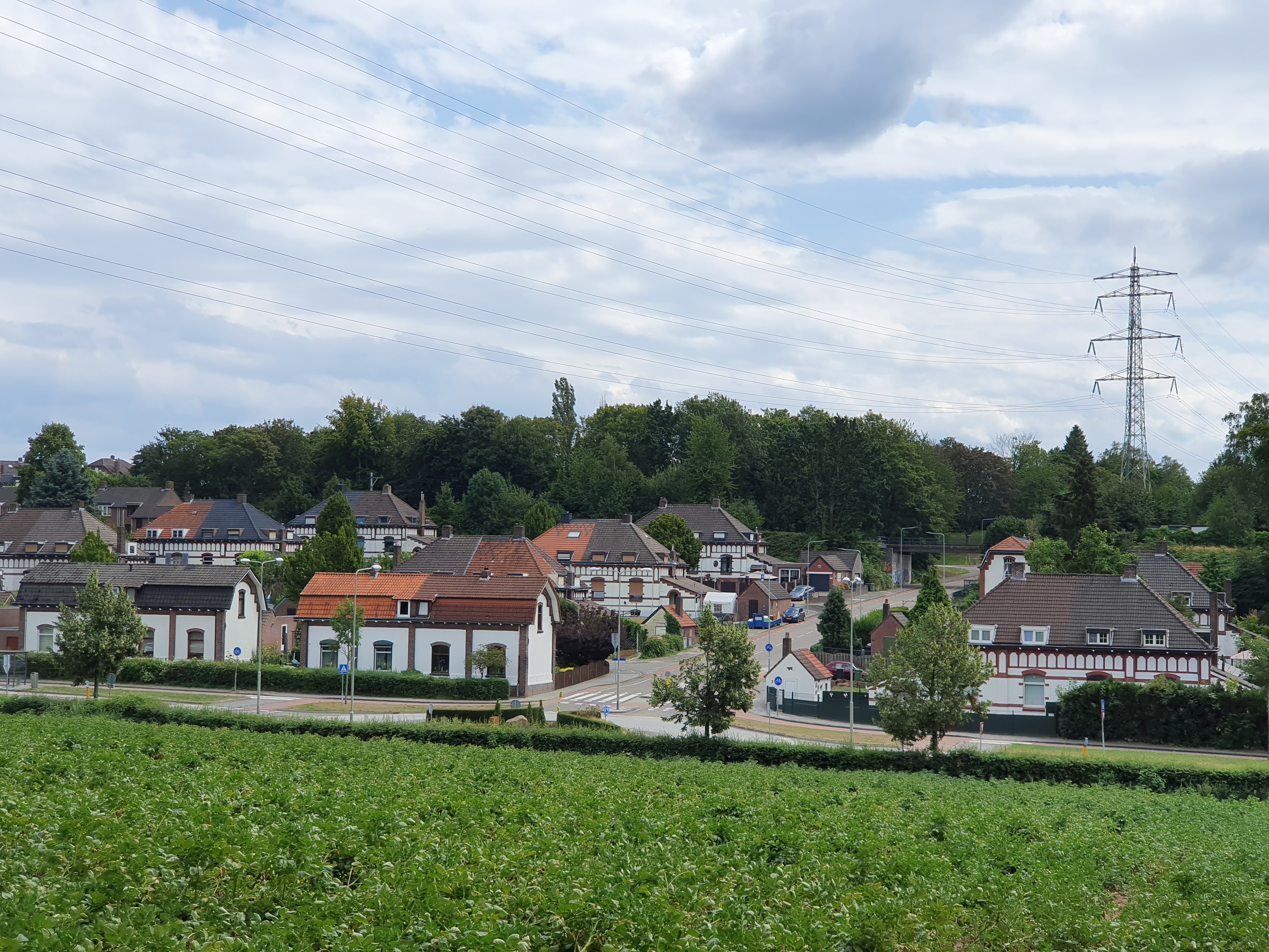 Het groene landschap van de oorspronkelijke Regna Bewind website